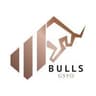 Bulls Girişim logo