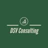 DSV Consulting logo