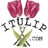 iTulip logo