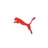Puma logo