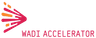 Wadi Accelerator logo